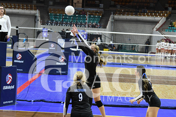 DSC_1989_edited