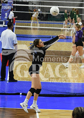 DSC_1979_edited-5x7 vert