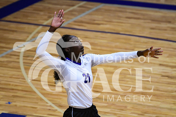 DSC_1269_edited