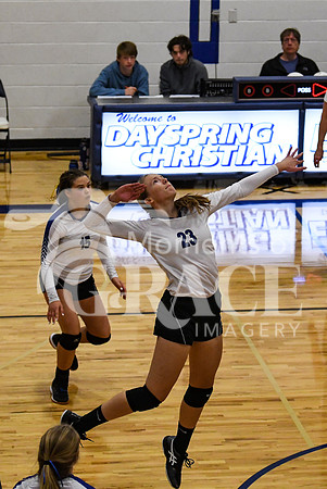 DSC_1241_edited