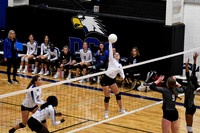DSC_1154_edited