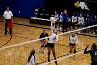 DSC_1167_edited