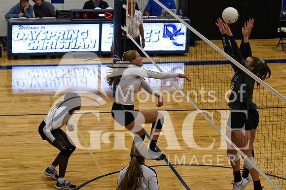 DSC_1197_edited