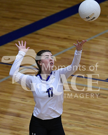 DSC_1247_edited