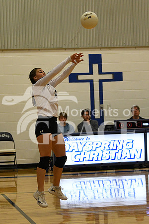 DSC_1319_edited