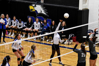 DSC_1180_edited