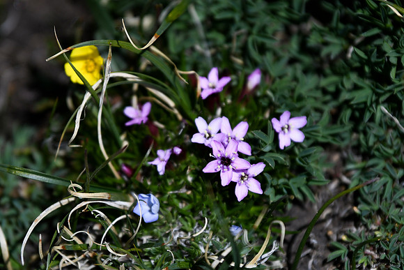DSC_2741_edited