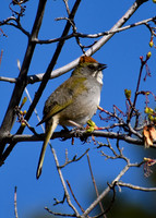 DSC_0017_edited