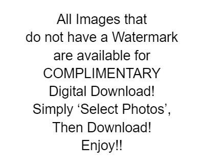 Complimentary Download