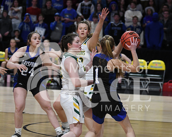 DSC_8479_edited