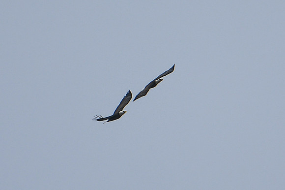 DSC_4047_edited