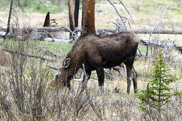 DSC_6746_edited