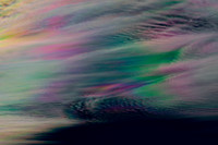 DSC_3324_edited_edited