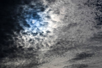 DSC_3342_edited