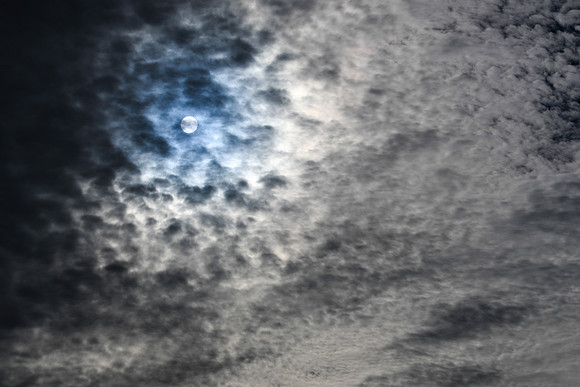 DSC_3342_edited
