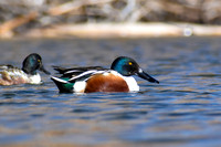 DSC_0319_edited