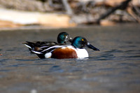 DSC_0313_edited