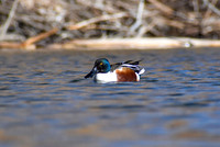 DSC_0307_edited