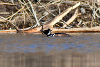 DSC_0517_edited