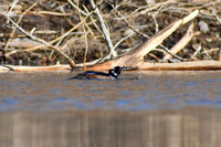 DSC_0502_edited