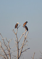 DSC_0027_edited
