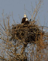 DSC_5453-1 - 2026-02-22