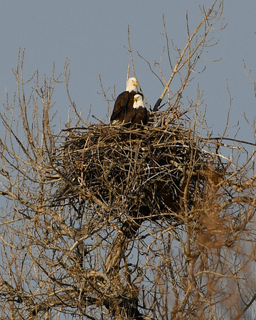 DSC_5454-1