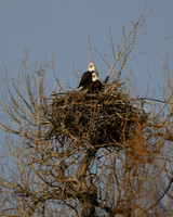 DSC_5354-1 - 2026-02-22