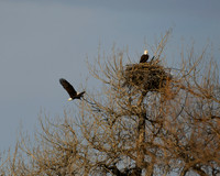 DSC_5503-1 - 2026-02-22