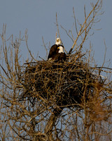 DSC_5398_edited
