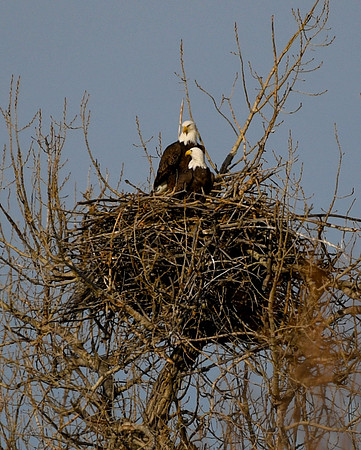 DSC_5398_edited