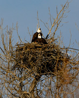 DSC_5493_edited