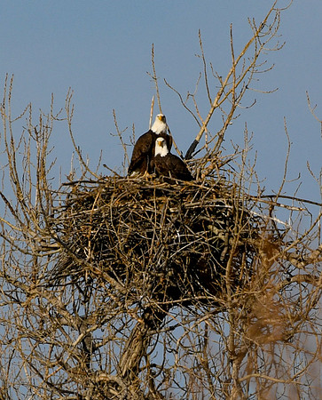 DSC_5493_edited