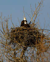 DSC_5492_edited