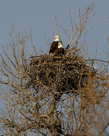 DSC_5453_edited - 2026-02-22