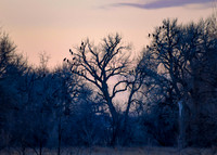 DSC_5699_edited - 2026-02-22