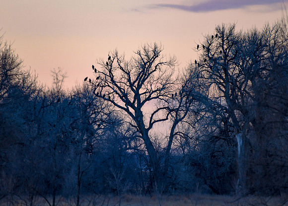 DSC_5699_edited - 2026-02-22