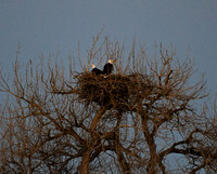 DSC_6000_edited - 2026-03-02