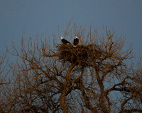DSC_6024_edited