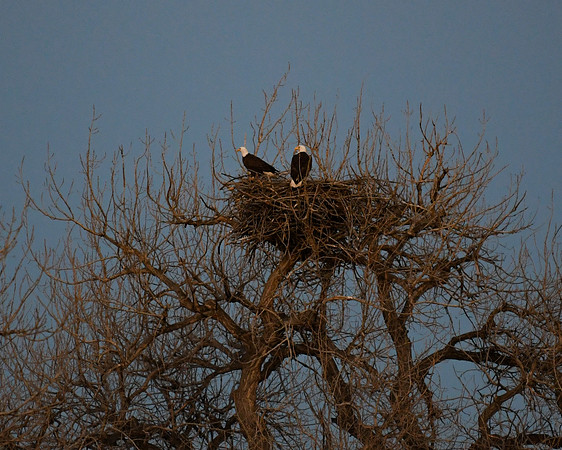 DSC_6024_edited