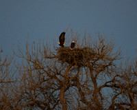DSC_6030_edited - 2026-03-02