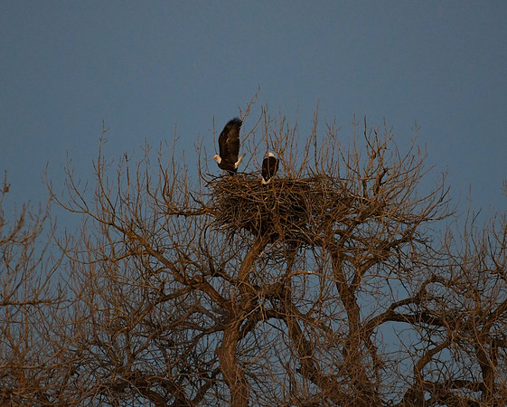 DSC_6030_edited - 2026-03-02