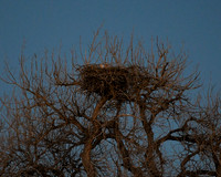 DSC_6078_edited - 2026-03-02