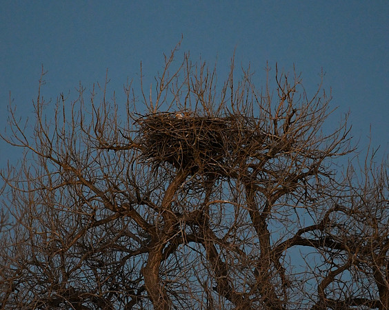DSC_6078_edited - 2026-03-02