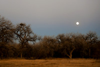 DSC_5963_edited - 2026-03-02