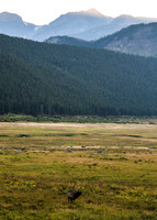 DSC_4642_edited