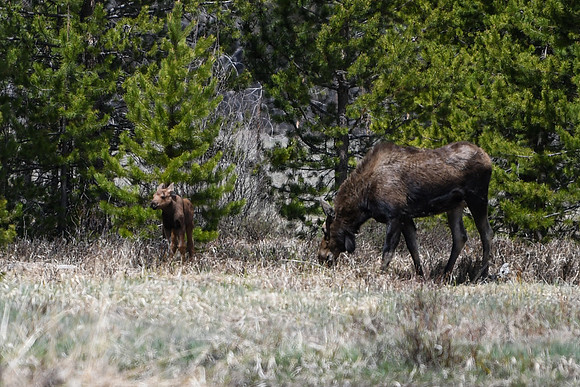 DSC_6617_edited