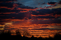 DSC_6494_edited-Bueno