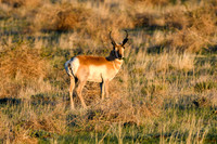 DSC_0397_edited