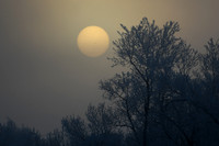 DSC_7714_edited